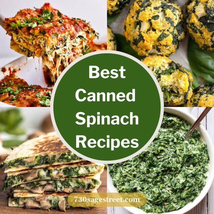 23 Awesome Canned Spinach Recipes - 730 Sage Street